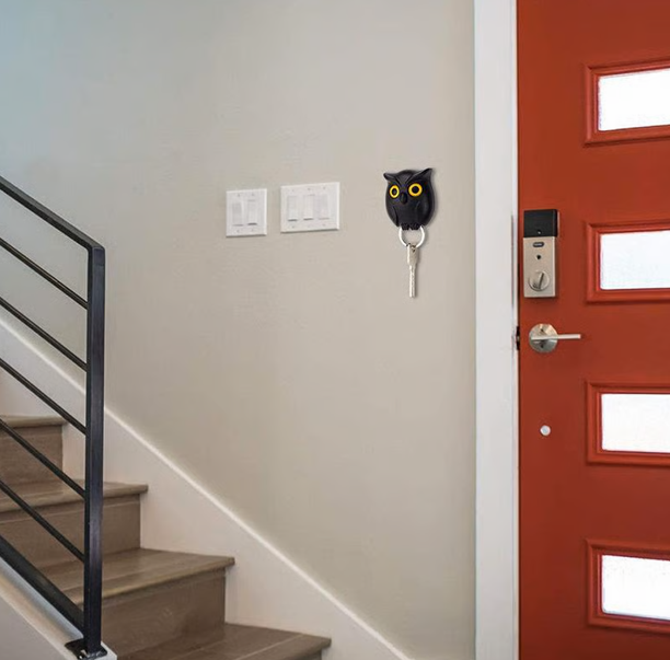 Owl Key Holder