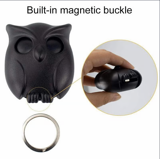 Owl Key Holder