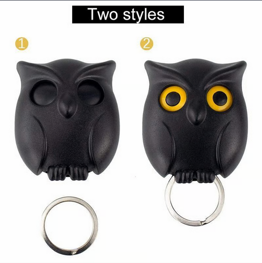 Owl Key Holder